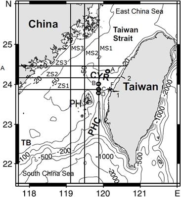 A Study of Circulation, Turbulence, and Tidal Stream Resources in the Taiwan Strait